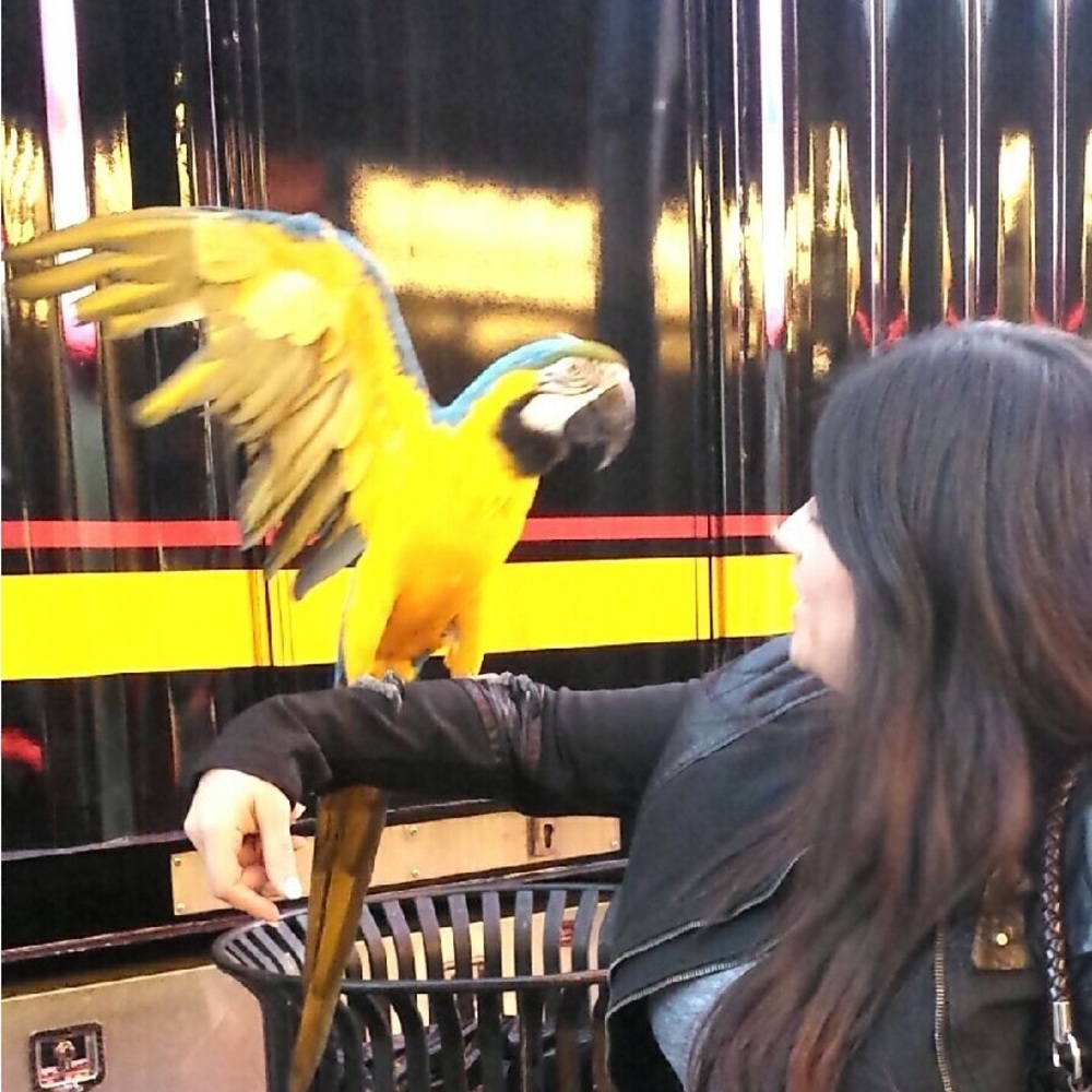 Meet your Posher, Sylvia